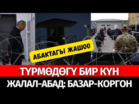 Видео: ТҮРМӨДӨГҮЛӨР КАНТИП ЖАШАЙТ?