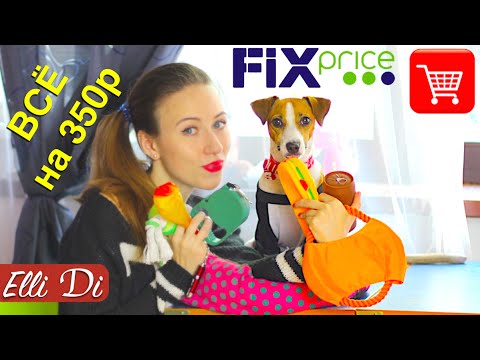 Видео: САМЫЕ ДЕШЕВЫЕ ПОКУПКИ ИЗ ЗООМАГАЗИНА | FIX PRICE ДЛЯ ЖИВОТНЫХ | Elli Di Собаки