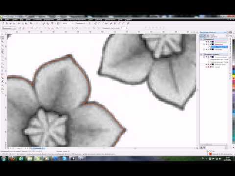 Видео: Ручная трассировка в CorelDraw