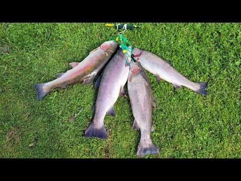 Видео: Первый раз, Bossington est Trout Fishery, 4 рыбы из озера Хорсбридж 🐋🐋🐋🐋 Сохранил самую большую н...