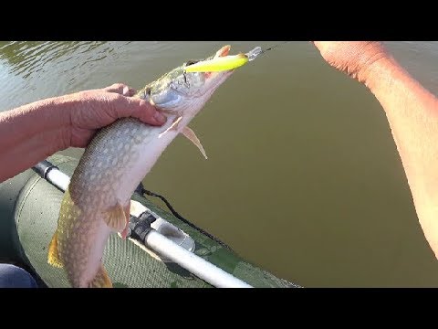Видео: EVERGREEN LB Roller.Хоть с четвертой попытки,но эту щуку поймал.Pike Fishing.
