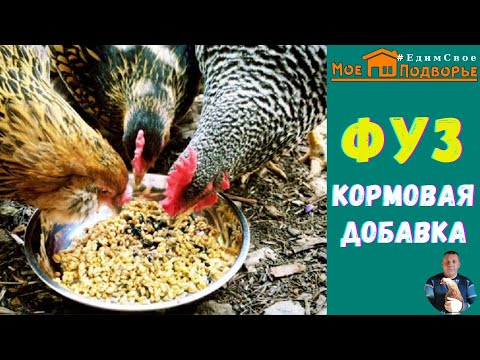 Видео: ФУЗ ПОДСОЛНЕЧНЫЙ-ценная кормовая добавка для кур. "Мое Подворье"