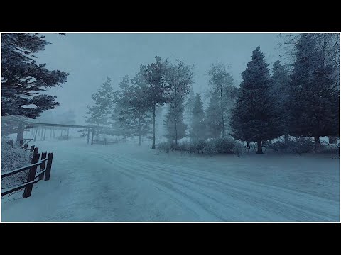 Видео: Морозные звуки метели для сна в горах┇Воющий ветер и громкий метель