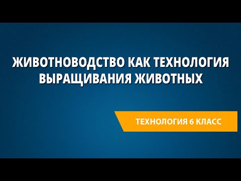 Видео: Животноводство как технология выращивания животных