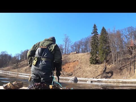 Видео: Да сколько вас здесь! Коп монет c XP DEUS 2 по дну обмелевший реки. Весна 2022. Кладоискатель Руся.