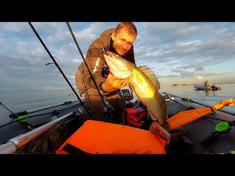 Видео: НОРМУ СУДАКА надрал ЗА ПОЛДНЯ! ДОНКА В ОТВЕС С ТЮЛЬКОЙ КОСИТ СУДАКА!