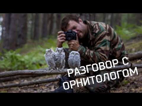 Видео: О совах, фотографии, охране дикой природы и птичьих проблемах [Левашкин]