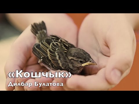 Видео: «Кошчык» Дилбәр Булатова