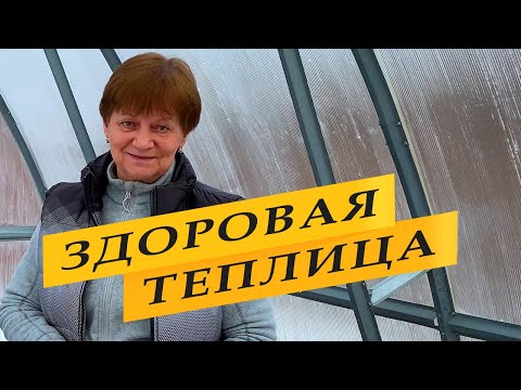 Видео: Обработка теплицы от болезней и вредителей