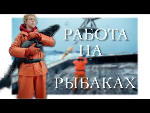 Видео: Тяжёлая работа на рыболовецком судне, откровения