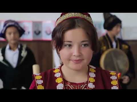 Видео: 23 января 2025 г.