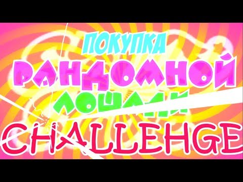 Видео: SSO/РАНДОМ РУЛИТ/ПОКУПКА РАНДОМНОЙ ЛОШАДЬ CHALLENGE/2 часть