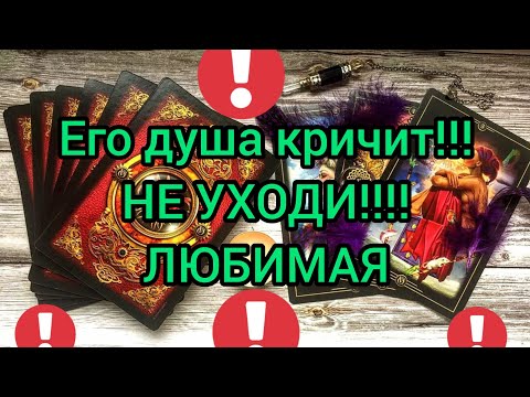Видео: ✅🔯💕🔯✅ ЕГО ДУША КРИЧИТ ... НЕ УХОДИ💞💞💞 ЛЮБИМАЯ ✅🔯💕🔯✅💕💕💕💕💕💕💕💕💕💕💕💕💕