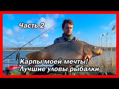 Видео: Лучшие моменты ловли крупного карпа | Часть 2