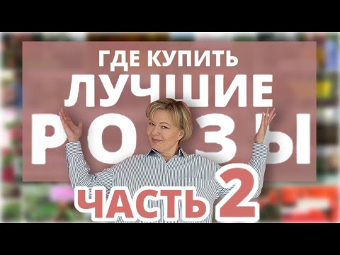 Видео: ЛУЧШИЕ ПИТОМНИКИ РОЗ 2 часть! Народный рейтинг РОЗАНОСТРЫ!😎 🌹 2 марта 2024 г.