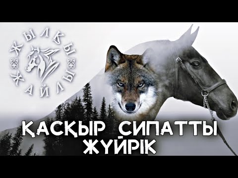 Видео: ҚАСҚЫР-ЖҮЙРІКТІҢ СЫРТҚЫ ДЕНЕ БІТІМІ ҚАНДАЙ БОЛАДЫ❓