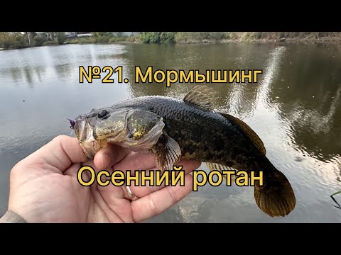 Видео: №21 Мормышинг. Осенний ротан #youtube #fishing