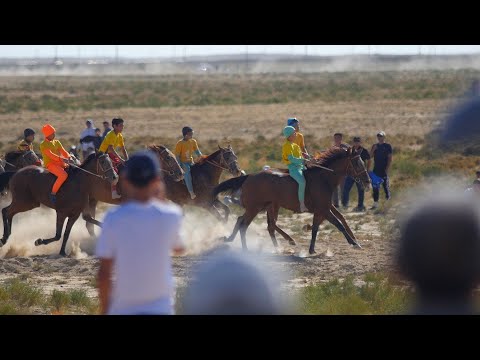 Видео: Сыңғырлау ауылына 40жыл