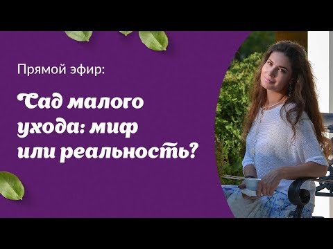 Видео: Сад малого ухода: миф или реальность | Мария Кордубаева в Школе Сада