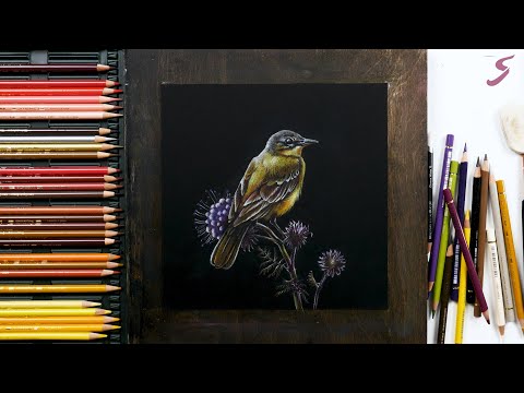 Видео: Марафон «На старт, внимание, май!» 5.Птичка