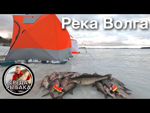 Видео: СУДАК на МОТЫЛЯ | Зимняя рыбалка с ночевкой на ДВОЕ суток | Ловля ЛЕЩА зимой на ВОЛГЕ 2021