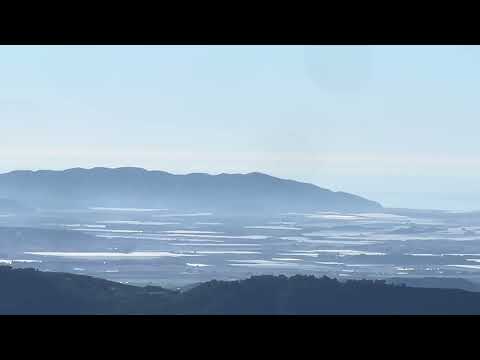 Видео: Гридли, @Theflying Fletcher‘s