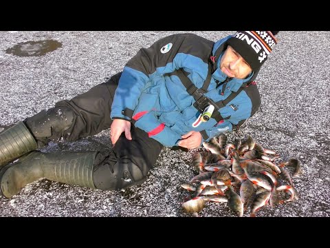 Видео: Не Клювало, Поки Не Спробував Балансир. Ловля Окуня з Льоду в Лютому