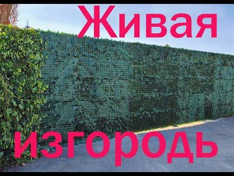 Видео: Живая изгородь, забор. "Броневик" Днепр.