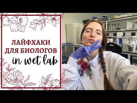 Видео: Лабораторные лайфхаки для студентов-биологов