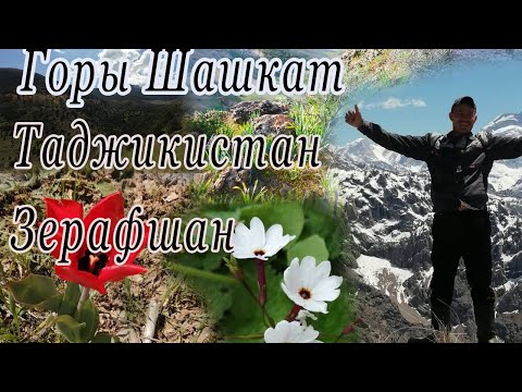 Видео: сайри куххо ва дехаи Шашкати зебо. инро меарзадки тамошо кунед. водии зарафшон дараи артучу панчруд.