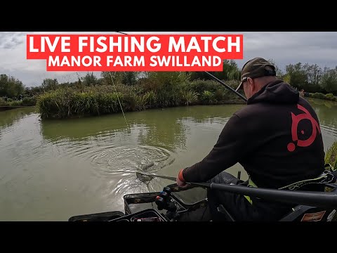 Видео: Рыболовная приманка Match Manor Farm Swilland IP6 9LB, #matchfishinguk