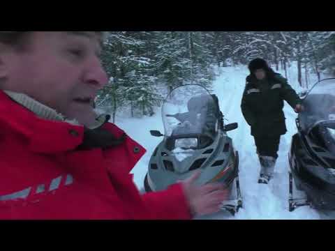 Видео: Первый выезд на снегоходах в конце декабря.
