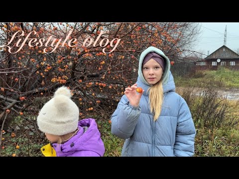 Видео: Игры наших кошек 😻 Поход в магазин с дочками и вкусные пельмени 🍲 | Family Vlog