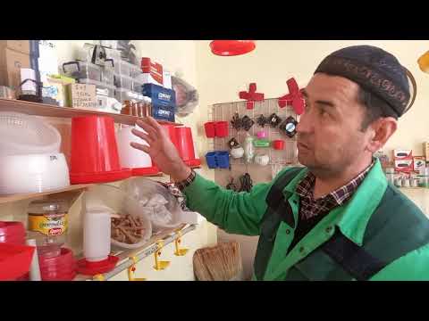 Видео: Инкубатор аппаратын жасоо учун керектелуучу жабдыктар