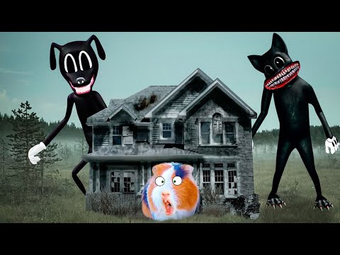 Видео: МОНСТРЫ НАПАЛИ НА НАШ ДОМ! - Картун Кэт Глэмрок Фредди и Хаги Ваги - Монстры в Реальной Жизни Часть2