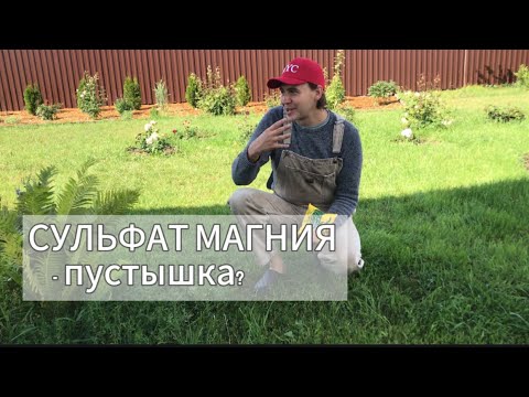 Видео: Сульфат магния и розы. А базальные побеги точно попрут?