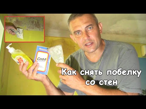 Видео: Как снять побелку со стен