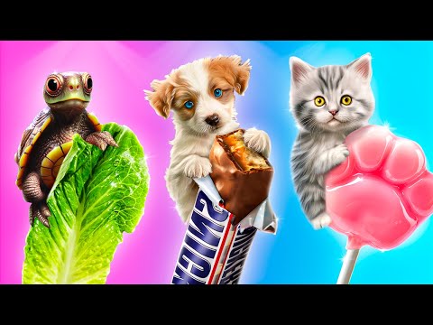 Видео: Я vs животные! Кулинарный челлендж!