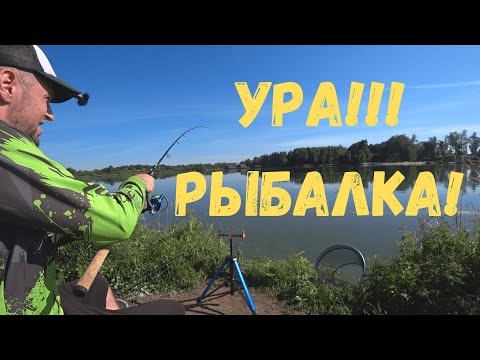 Видео: УРА!!! ВЫБРАЛСЯ НА РЫБАЛКУ! РК КУТУЗОВО ДИКАЯ ЗОНА Панамафиш#92