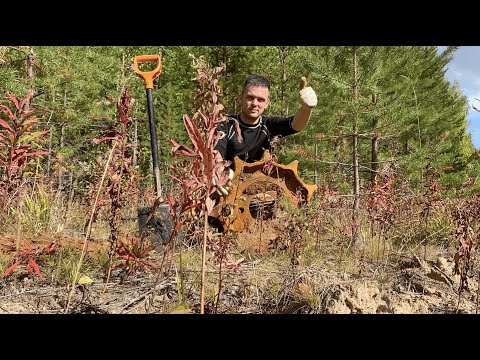 Видео: НАШЕЕЕЛ!!!! МЕТАЛЛ ПРОСТО ВАУУУ!  ДАВНО ИСКАЛ ТАКОЕ МЕСТО!!!