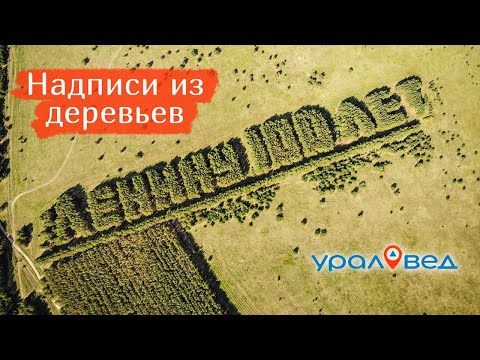 Видео: Надписи из деревьев "Ленину 100 лет" и "60 лет СССР". Путешествие по Курганской области | Ураловед