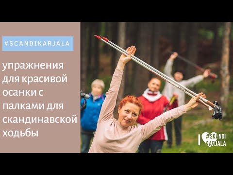 Видео: Разминочный комплекс и упражнения на здоровую спину с палками для скандинавской ходьбы