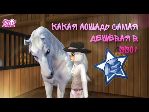 Видео: Я нашла самую дешёвую лошадь в Star Stable Online / Покупка и сбор outfit(а) при помощи рандомайзера