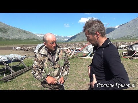 Видео: Нож оленевода