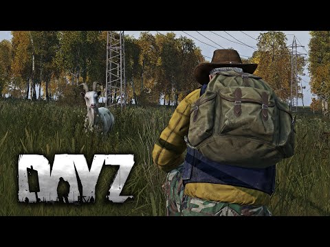 Видео: Не зря я догонял эту козу, ой не зря - DayZ 1.11