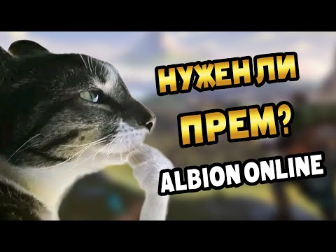 Видео: 🐱Каким АКТИВНОСТЯМ в игре нужен премиум | Albion online #альбион #albiononline #mmorpg #freetoplay
