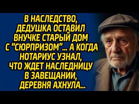 Видео: В наследство, дедушка оставил внучке старый дом с «сюрпризом» … А когда нотариус узнал, что ждет...