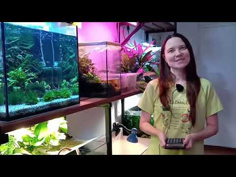 Видео: Сколько денег уходит на электричество для аквариумов и сколько можно включить в одну розетку