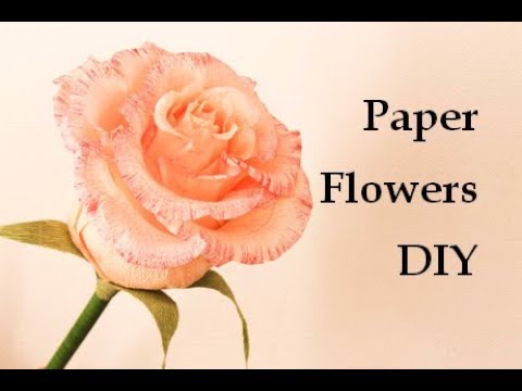 Видео: Цветы из гофрированной бумаги. Большая роза из гофрированной бумаги. Бумажная роза