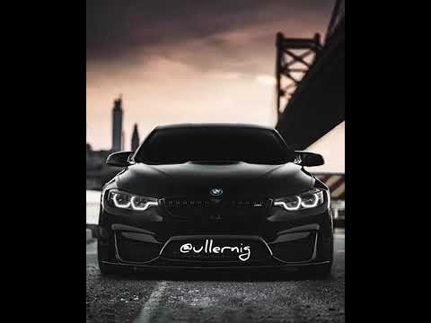 Видео: Дависа йиш яларкха ц1а ц хилча санна хьо виц ва💔